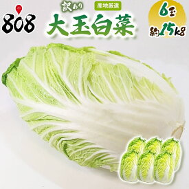 【送料無料】【産地厳選】訳あり　大玉　白菜　 1箱　6玉入り　約15kg(北海道沖縄別途送料加算)