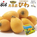 【送料無料】【兵庫県淡路島産】無農薬　うまいびわ　大きさおまかせ　化粧箱入　1箱　約1kg(北海道沖縄別途送料加算)