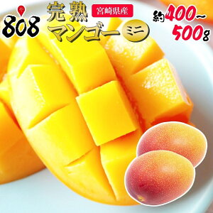 �y���������z�y�{�茧�Y�z���n�}���S�[�~�j�@��400�`500g (�k�C������ʓr�������Z)