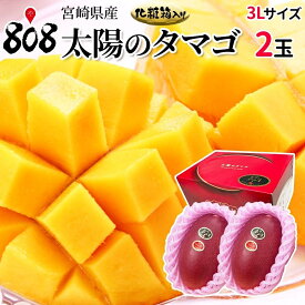 【送料無料】【宮崎県産】太陽のタマゴ 化粧箱入 3Lサイズ2玉（460g〜509g×2玉）(北海道沖縄別途送料加算)