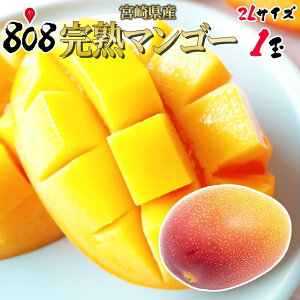 �y���������z�y�{�茧�Y�z���n�}���S�[�@2L�T�C�Y ��350g�`459g�@1��(�k�C������ʓr�������Z)