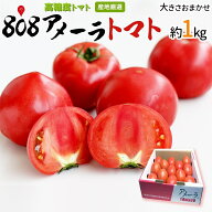 【送料無料】【静岡県/長野県産】とってもあま〜い 高糖度 アメーラトマト 大きさお任せ 1箱 約1kg(北海…