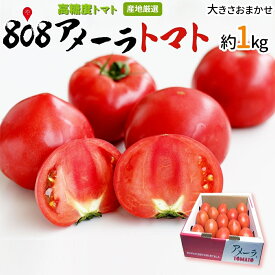 【送料無料】【静岡県/長野県産】とってもあま〜い 高糖度 アメーラトマト 大きさお任せ 1箱 約1kg(北海道沖縄別途送料加算)