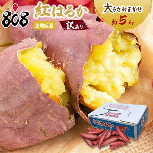 yzyYnIz󂠂@g͂邩@傫܂@5kg(kCʓrZ)
