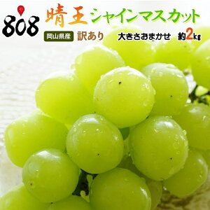 yzyRYz󂠂@(͂ꂨ)VC}XJbg@傫܂@1kg@2kg(kCʓrZ)