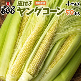 【送料無料】【産地厳選】皮付きヤングコーン　小サイズ　1箱50本入(北海道沖縄別途送料加算)