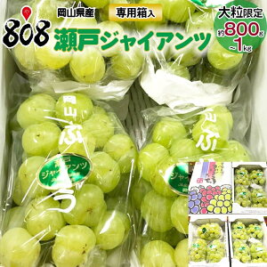 yzyRYz˃WCAc p 嗱 800g`1kg (kCʓrZ)