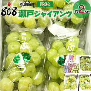 yzyRYz󂠂 ˃WCAc 2kg (kCʓrZ)