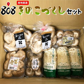 【送料無料】【産地厳選】きのこづくしセット(北海道沖縄別途送料加算)