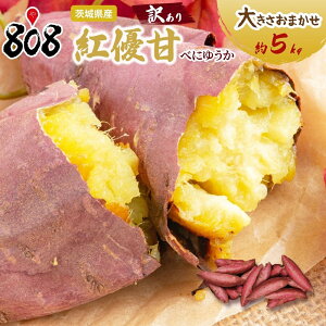 yzy錧Yz󂠂@gDÁ@ׂɂ䂤@g͂邩@傫C@5kg(kCʓrZ)