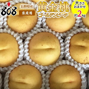 yzy쌧YzS[fs[`@@ƒp@傫C@2kg(kCʓrZ)
