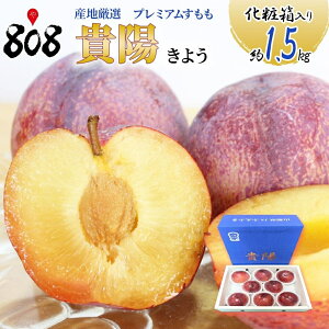 すもも プラムの人気商品 通販 価格比較 価格 Com すもも プラムの人気商品 通販 価格比較 価格 Com