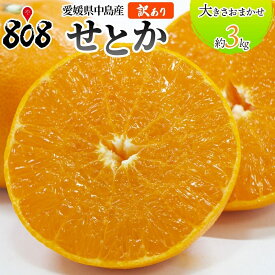 【送料無料】【愛媛県中島産】訳あり　せとか 大きさおまかせ　約3kg(北海道沖縄別途送料加算)