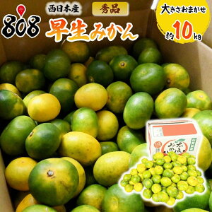 yzy{YzGi@݂@傫܂@10kg(kCʓrZ)