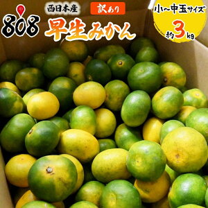 yzy{YzyYnIz󂠂 ݂ `ʃTCY@3kg(kCʓrZ)