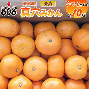 yzyQYzGi@^݂@^V[@IׂTCY@1 3kg 5kg 10kg(kCʓrZ)