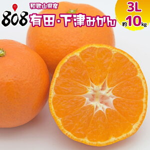 yzya̎RYzLcEÂ݂ 3LTCY 10kg(kCʓrZ)