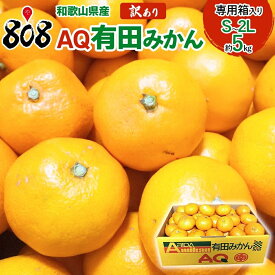 【送料無料】【ふるさと納税にも選ばれた】【和歌山県産】訳あり AQ有田みかん S〜2Lサイズ 大きさお任せ 専用のミカン箱入り 約3kg　約5kg(北海道沖縄別途送料加算)