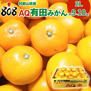 yzyӂ邳Ɣ[łɂI΂ꂽzya̎RYz󂠂 AQLc݂@2LTCY@9`10kg(kCʓrZ)