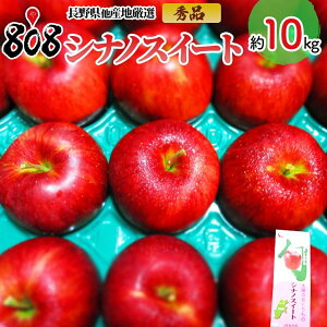 yzy쌧قYnIzGi VimXC[g 10kg(kCʓrZ)