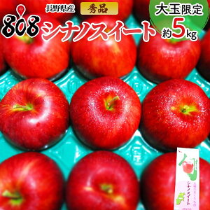 yzy쌧YzGi VimXC[g ʌ 8`18ʓ 5kg(kCʓrZ)