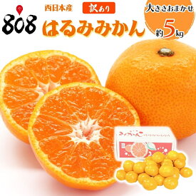 【送料無料】【西日本産】訳あり　はるみ　みかん　大きさおまかせ　約5kg(北海道沖縄別途送料加算)