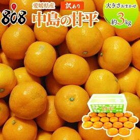 【送料無料】【愛媛県産】訳あり　中島の甘平　大きさお任せ　約3kg(北海道沖縄別途送料加算)