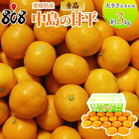 【送料無料】【愛媛県産】秀品　中島の甘平　大きさお任せ　約3kg(北海道沖縄別途送料加算)
