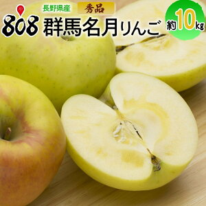 yzy쌧YzGi Qn 10kg(kCʓrZ)