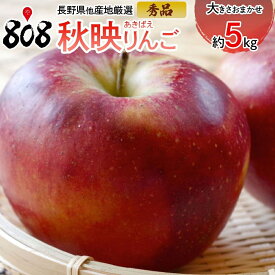 【送料無料】【長野県ほか産地厳選】秀品　秋映りんご　大きさお任せ　約5kg(北海道沖縄別途送料加算)