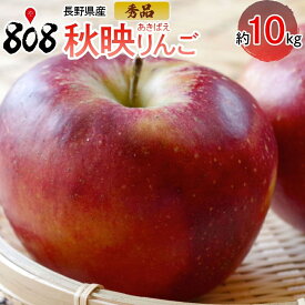 【送料無料】【長野県産】秀品 秋映りんご 約10kg(北海道沖縄別途送料加算)