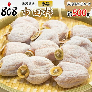 yzy쌧YzGi sc` 傫܂ 500gylR|Xz