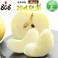 【送料無料】【鳥取県産】 訳あり　20世紀梨　大きさおまかせ　約5kg(北海道沖縄別途送料加算)
