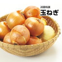 【兵庫県淡路島産】淡路特選 玉ねぎ 玉ネギ 約10kg 大きさおまかせ 訳あり【常温便送料無料】(北海道沖縄別途送料加算)産地直送仕入れ/あわじしま/淡路島/お...