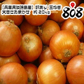 【送料無料】【兵庫県淡路島産】訳あり　淡路玉ねぎ　大きさおまかせ　約20kg(北海道沖縄別途送料加算)