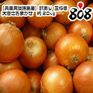 yzyɌWHYz󂠂@WHʂ˂@傫܂@20kg(kCʓrZ)