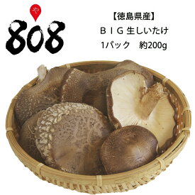 【送料別】【徳島県産】 BIG 生しいたけ 1パック 約200g【野菜詰め合わせセットと同梱で送料無料】【送料は注文後に個数によって変動】