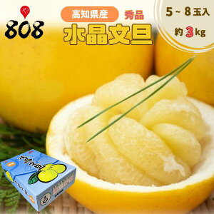 �y���������z�y���m���Y�z�������U�@�G�i�@5�`8�ʓ��@��3kg(�k�C������ʓr�������Z)