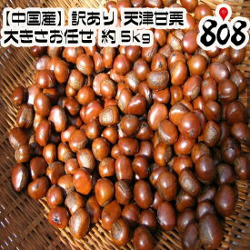 【送料無料】【中国産】訳あり 天津甘栗　大きさお任せ 約5kg（北海道沖縄別途送料加算）