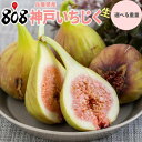 【送料無料】【兵庫県産】神戸いちじく　生　大きさお任せ　家庭用　約500g　約1kg　約2kg　約3kg(北海道沖縄別途送料…