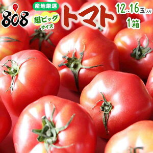 yzyYnIzrbOTCY@g}g@1@12`16ʓ(kCʓrZ)