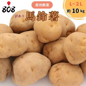 【送料無料】【産地厳選】馬鈴薯　じゃがいも　L〜2Lサイズ 　1箱　約10kg(北海道沖縄別途送料加算)