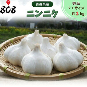 yzyXYz_ Giɂɂ zCgZ 2LTCY 1lbg 1kgikCʓrZj