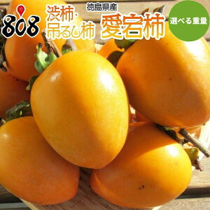 【送料無料】【徳島県産】渋柿・吊るし柿 愛宕柿 約5kg 約10kg(北海道沖縄別途送料加算)
