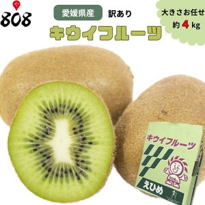 yzyQYz󂠂 LECt[c 傫܂ 4kg(kCʓrZ)