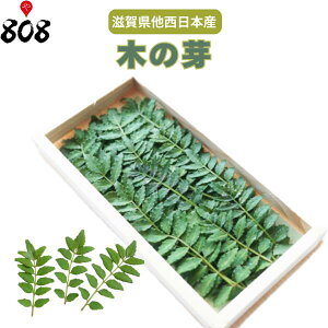 yʁzyꌧ{Yz؂̉ R̎ 1pbNy؋lߍ킹ZbgƓőzy͒Ɍɂĕϓz