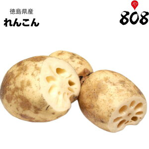 yʁzyYz񂱂@1pbN@500gy؋lߍ킹ZbgƓőz