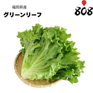 yʁzyYzO[[t@1pbNy؋lߍ킹ZbgƓőzy͒Ɍɂĕϓz