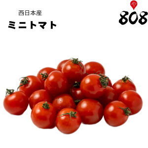 yʁzy{Yz~jg}g@1pbN@200gy؋lߍ킹ZbgƓőzy͒Ɍɂĕϓz