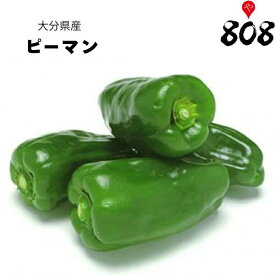 【送料別】【西日本産】ピーマン　1パック　約100g【野菜詰め合わせセットと同梱で送料無料】【送料は注文後に個数によって変動】